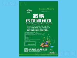 �}�V���\�F-̤��-����r(n��ng)�I(y��)