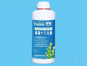 ����ʮ��Ԫ��-̤��-����r(n��ng)�I(y��)