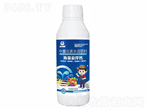 ����Ҹ��}-���S�~��-��S