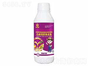 500g�ЙC(j��)���Һ�B(t��i)��-���S�~��-��S