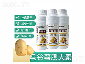 �R��������-�ο�ֲ��