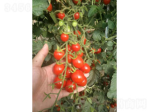 �ᭇ��CT2001�����ҷ��ѷN��-�A���r(n��ng)�I(y��)