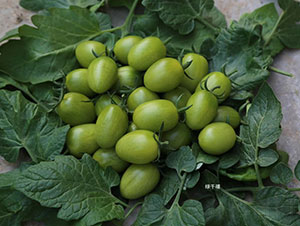 �Gǧ�����ҷ��ѷN��-�A���r�I(y��)