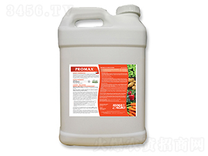 ���_�R˹-����