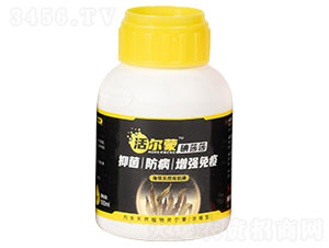 ��ɡ���ɯɯ��������Ȼ�ЙC(j��)�⣩-��������