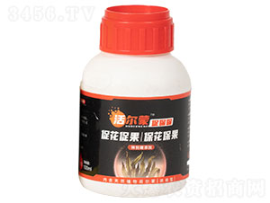 ��ɡ��ٱ������؄e�����ӣ�-��������