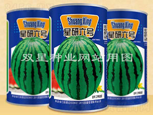 ������̖-���ϷN��-�p�ǷN�I(y��)