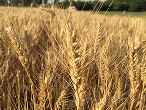 ����22-С���N��-�Ǻ����r