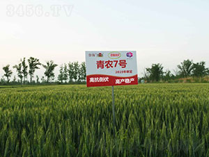 ���r(n��ng)7̖-С���N��-�Ǻ����r(n��ng)