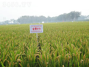 ��818-ˮ���N��-�Ǻ����r