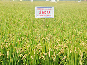 ��263-ˮ���N��-�Ǻ����r