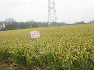 ��253-ˮ���N��-�Ǻ����r