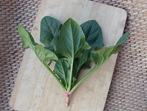 �G��-���˷N��-�A���N��