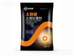 ����̎�턩-���ս�-ʩ����