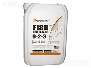 �����~(y��)��-���v����