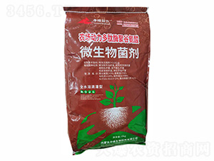 �۹Ȱ���-�з�����