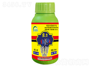 ��(qi��ng)��������-��ʢ�_(d��)