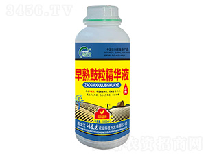 ����������AҺ-��ʢ�_