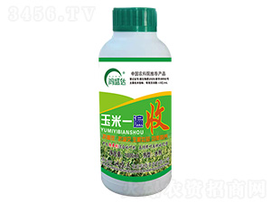 ����һ����-��ʢ�_