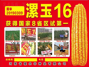 ����16-���׷N��-���r(n��ng)�A�N�I(y��)