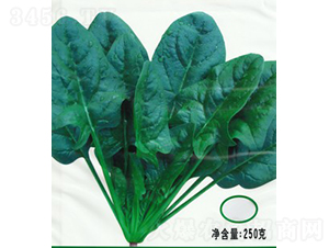 �½�(j��ng)��K������-���˷N��-�V��