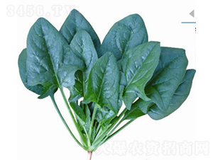 �w������688-���˷N��-�V��