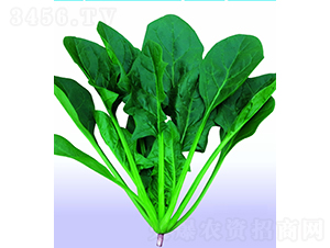 ��(d��ng)������-���˷N��-�V��