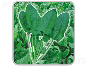 ���ǳ�������-���˷N��-�V��