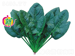 ������M������-���˷N��-�V��