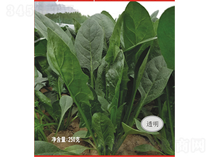 �¼oԪ����-���˷N��-�V��