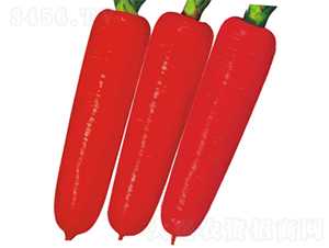 F1����1̖���}��-���}���N��-�V��