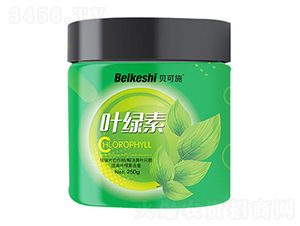 �~�G��-ؐ��ʩ-�r(n��ng)������