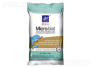 ΢�������-��(y��u)���m-�������B(t��i)