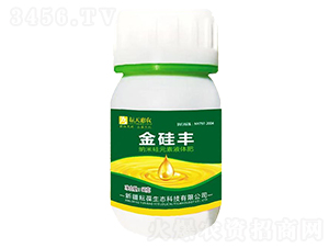 60g�{�׹�Ԫ��Һ�w��-����S-����