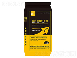 �S�����ЙC����-����