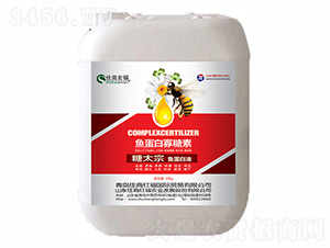 �~���׹�����-��̫��-ס�̺긣