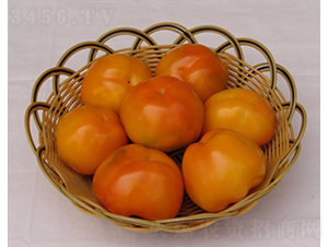 �S�{˹-�𽷷N��-�A���N��