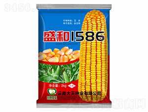 ���׷N��-ʢ��1586-����N�I(y��)