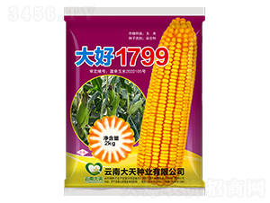 ���׷N��-���1799-����N�I(y��)