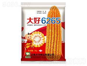 ���׷N��-���6265-����N�I(y��)