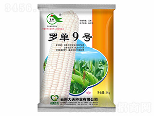 ���׷N��-�_��9̖(h��o)-����N�I(y��)