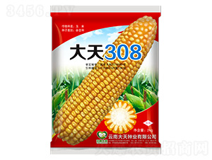 ���׷N��-����308-����N�I(y��)