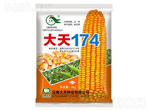 ���׷N��-����174-����N�I(y��)