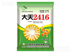 ���׷N��-����2416-����N�I(y��)