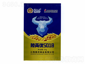 ��Ƀ�(y��u)5018-�A�ϻ�-���r�N�I(y��)