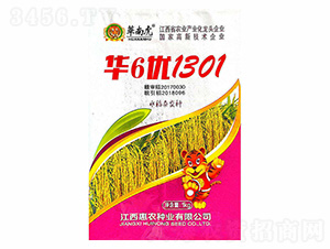 �A6��(y��u)1301-�A�ϻ�-���r�N�I(y��)