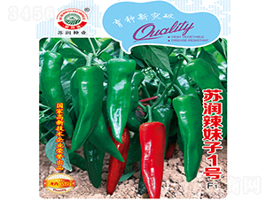 ������1̖-�����N��-�K���N�I(y��)