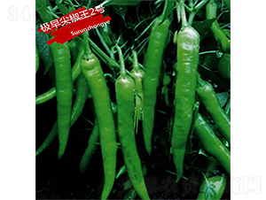 �O��⽷��2̖-�����N��-�K���N�I(y��)