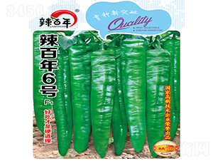 ������6̖-�����N��-�K���N�I(y��)