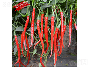 �K����̖-�����N��-�K���N�I(y��)